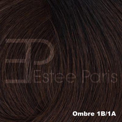 Ombre 1B/1A - Bruin met donkerbruine roots