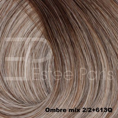 Ombre mix 2/2+613Q - Mix blond met bruine