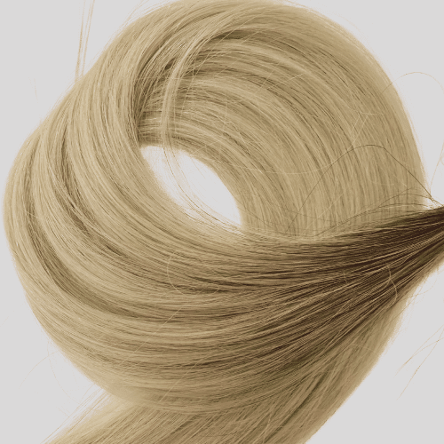 ombre 613ash+platinum blond roots 2